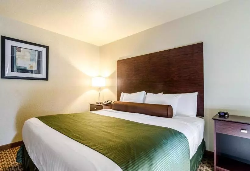 スタンダード４人部屋, Cobblestone Inn & Suites  Cambridge