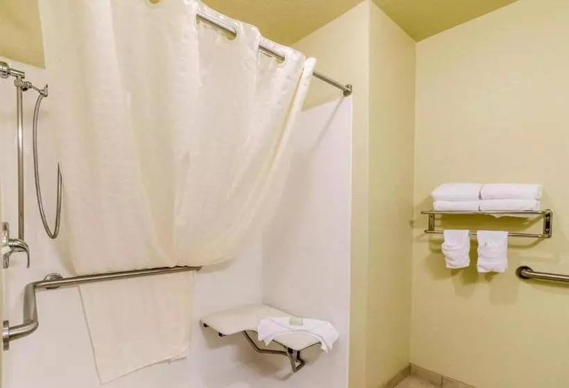 スタンダード４人部屋, Cobblestone Inn & Suites  Cambridge