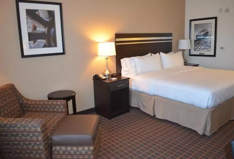 キングサイズベッドのスタンダードルーム, Holiday Inn Express & Suites Golden, An Ihg