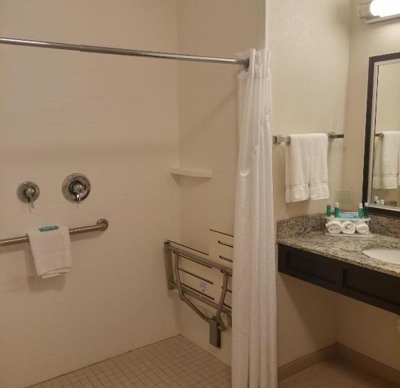 غرفة قياسية سرير كينج لذوى الإحتياجات الخاصة, Holiday Inn Express & Suites Golden, An Ihg