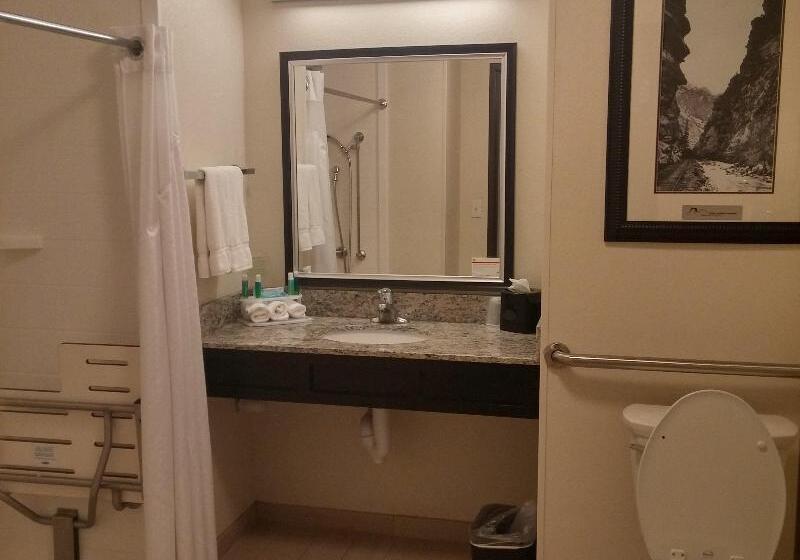 غرفة قياسية سرير كينج, Holiday Inn Express & Suites Golden, An Ihg