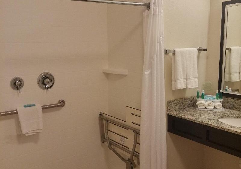 غرفة قياسية سرير كينج, Holiday Inn Express & Suites Golden, An Ihg