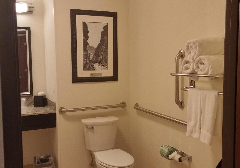 غرفة قياسية سرير كينج, Holiday Inn Express & Suites Golden, An Ihg