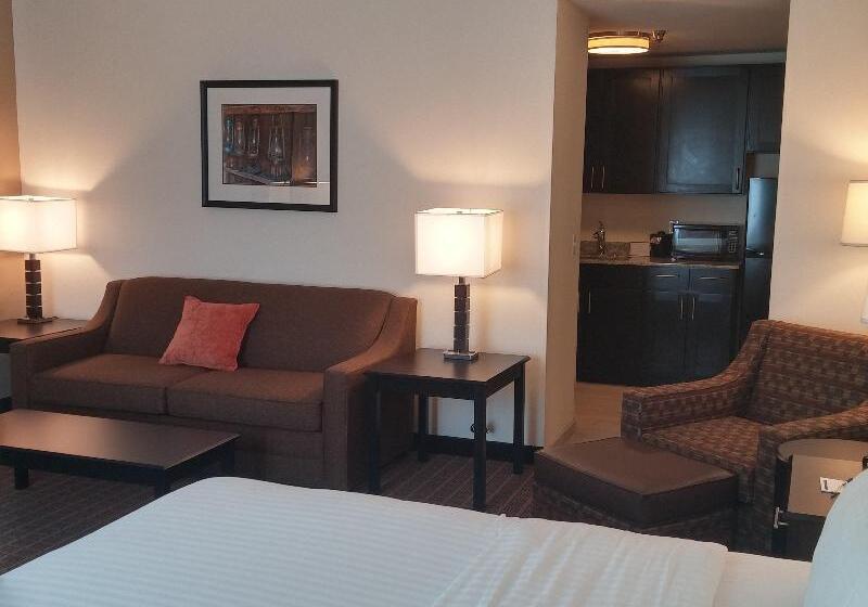 스탠다드 룸 킹사이즈 침대, Holiday Inn Express & Suites Golden, An Ihg