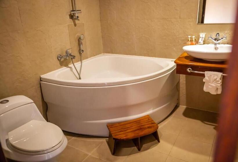 اتاق لوکس, Sada