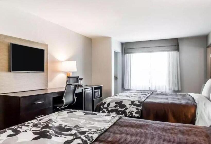 Номер Стандарт, Sleep Inn & Suites Hannibal