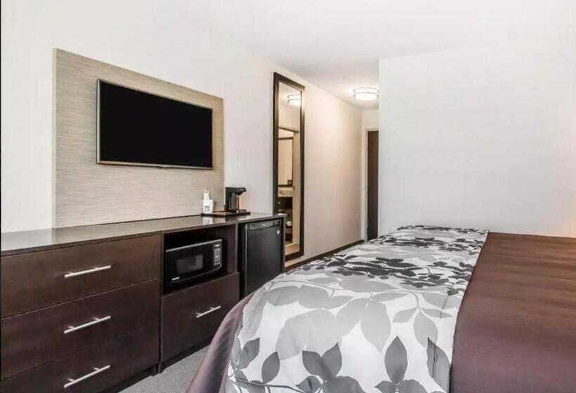 Номер Стандарт, Sleep Inn & Suites Hannibal