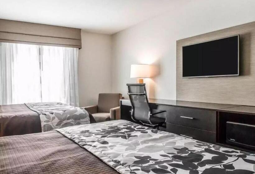 Номер Стандарт, Sleep Inn & Suites Hannibal