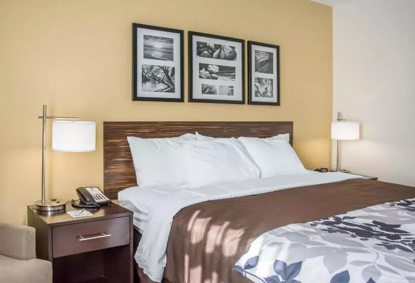 キングサイズベッドのスタンダードルーム, Sleep Inn & Suites Parkersburg