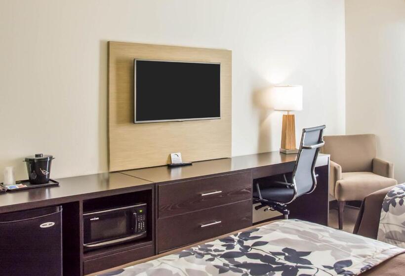 חדר סטנדרט שתי מיטות זוגיות, Sleep Inn & Suites Parkersburg