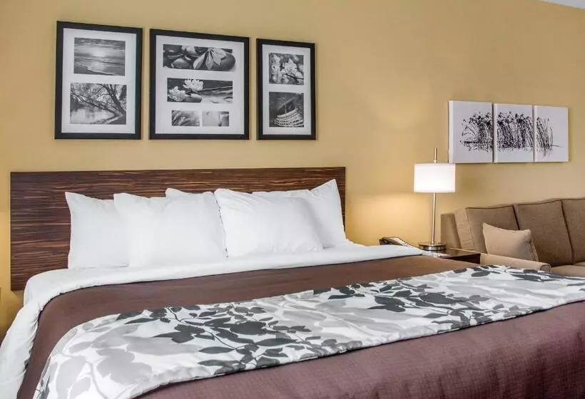 キングサイズベッドのスイートルーム, Sleep Inn & Suites Parkersburg
