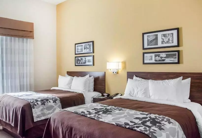 身障者適用スタンダードルーム, Sleep Inn & Suites Parkersburg