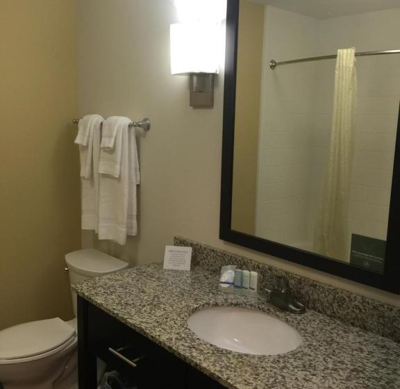 חדר סטנדרט, מיטת קינג, מותאם לאדם עם מוגבלויות, Sleep Inn & Suites Parkersburg