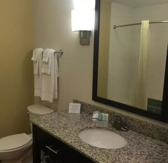 身障者適用キングサイズベッドルーム, Sleep Inn & Suites Parkersburg