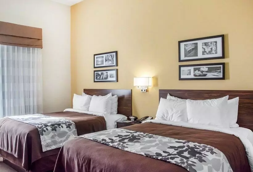 ２ダブルベッドのスタンダードルーム, Sleep Inn & Suites Parkersburg