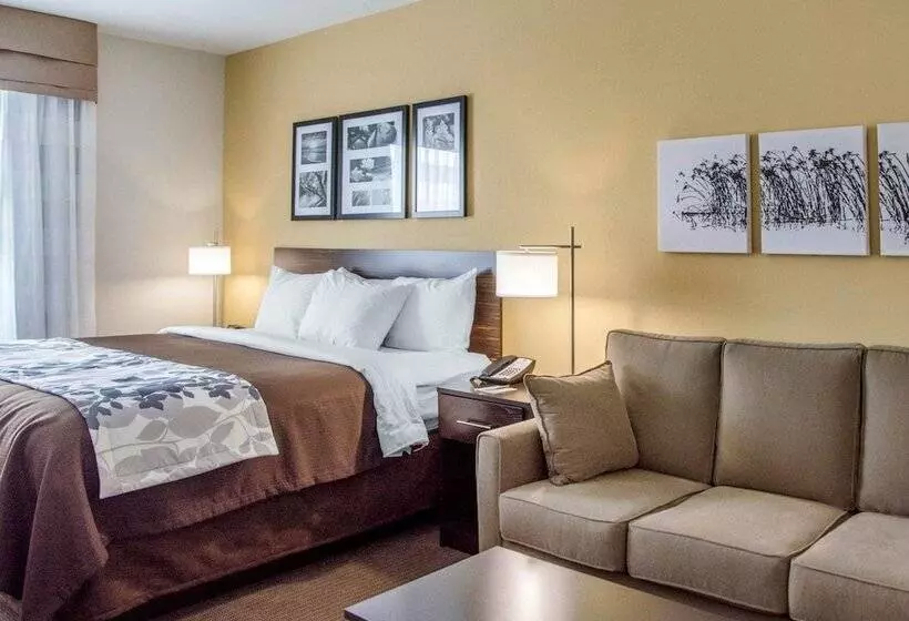身障者適用スイートルーム, Sleep Inn & Suites Parkersburg