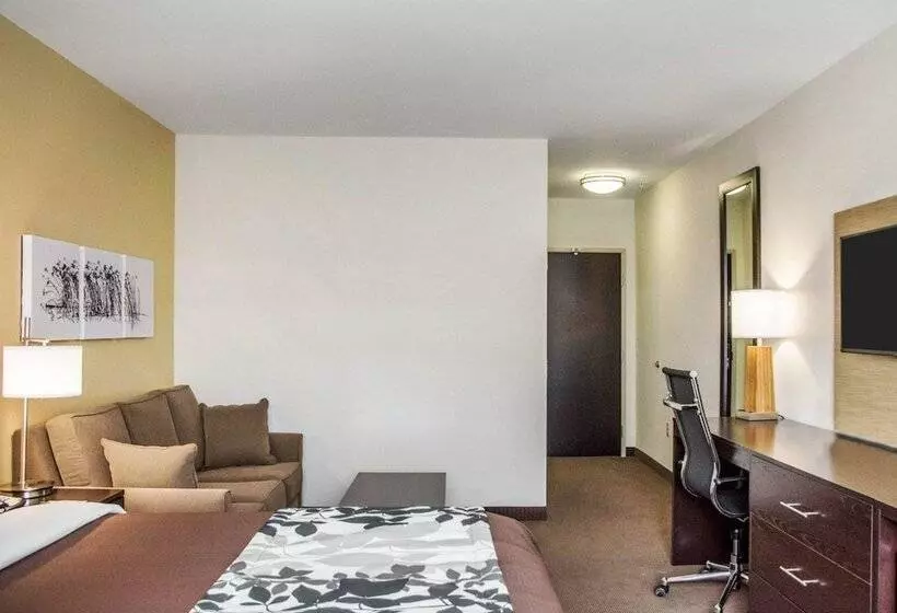 身障者適用スイートルーム, Sleep Inn & Suites Parkersburg