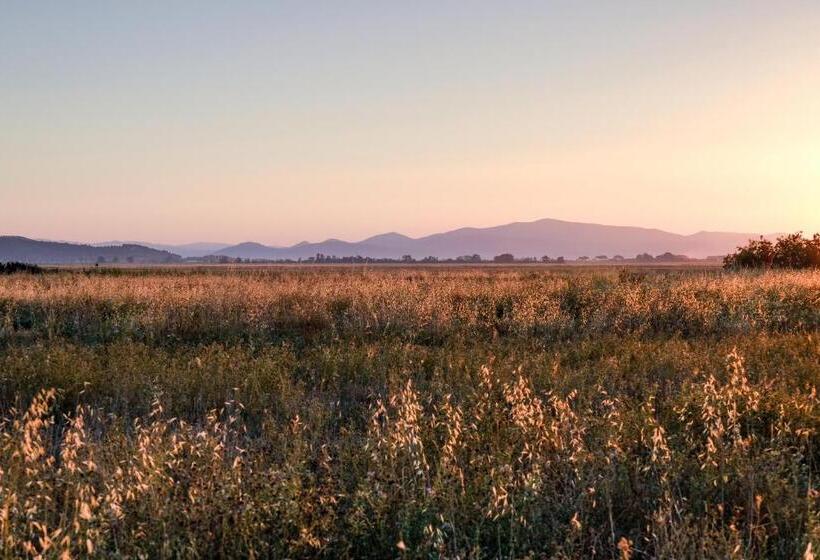 آپارتمان لوکس 1 خوابه, Residence La Canova Ii