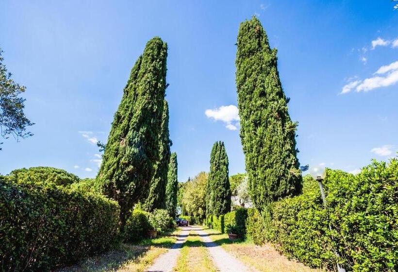 آپارتمان لوکس 1 خوابه, Residence La Canova Ii