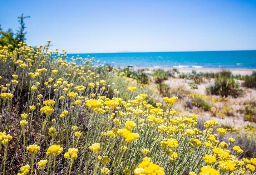 آپارتمان لوکس 1 خوابه, Residence La Canova Ii