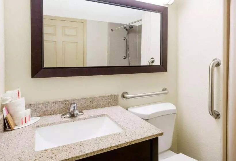 デラックスルーム, Americas Best Value Inn Phenix City