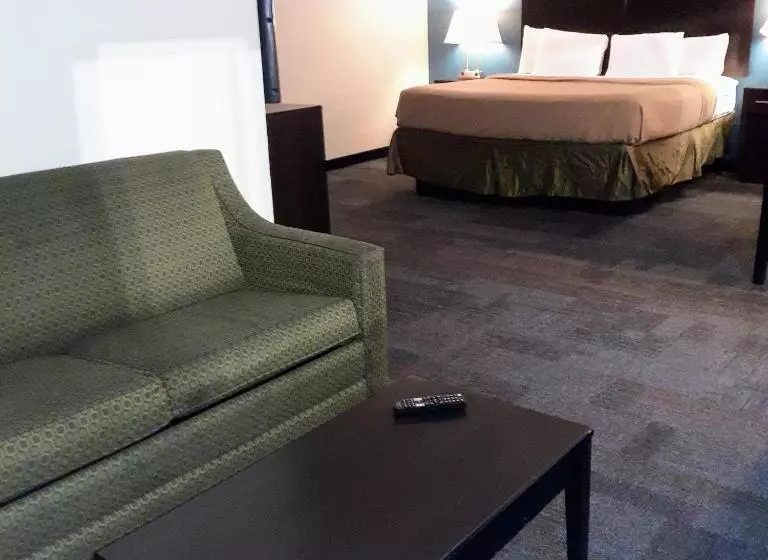 キングサイドベッドのスタンダードワンルーム, Americas Best Value Inn Phenix City