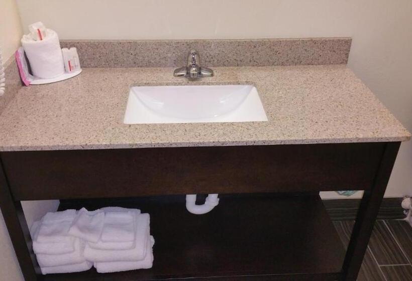 Студио Стандарт Кровать Кинг, Americas Best Value Inn Phenix City