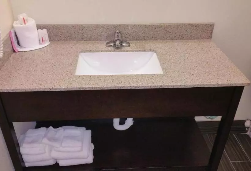 スタンダードルーム, Americas Best Value Inn Phenix City