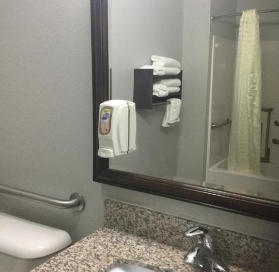 스탠다드 룸 킹사이즈 침대, Muskogee Inn And Suites