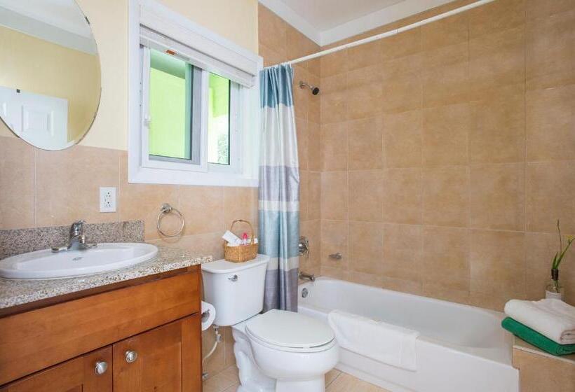 带1个卧室的公寓, Sir Charles Guest House