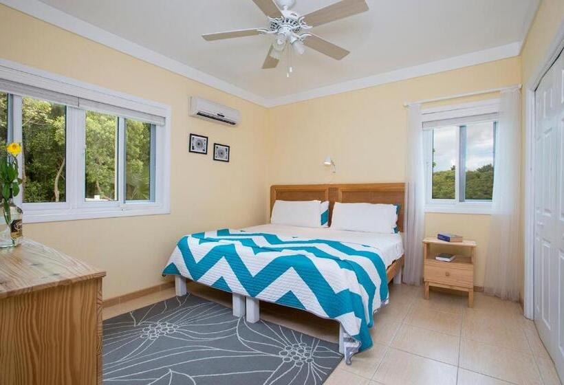 带1个卧室的公寓, Sir Charles Guest House