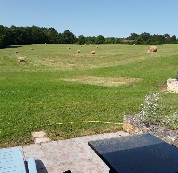 סטודיו סטנדרט עם מרפסת, Acacia/petunia