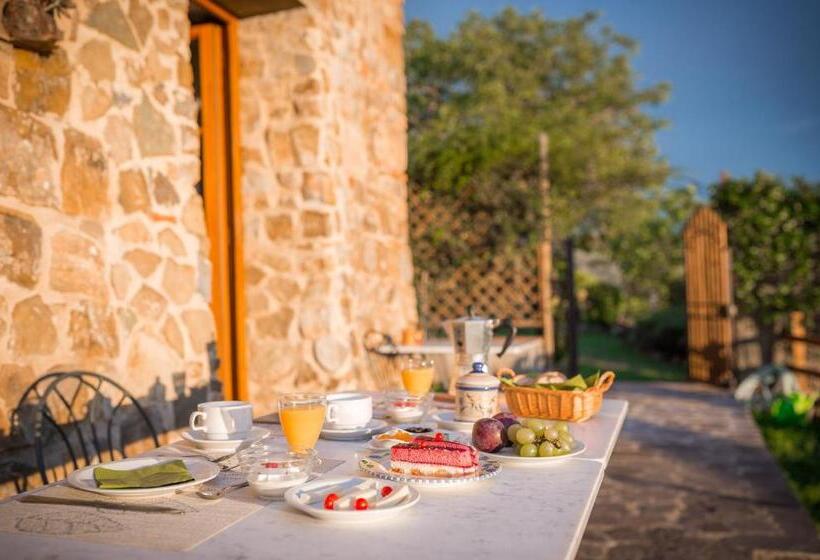 جناح مطلّ علي الحديقة, Podere Felceto