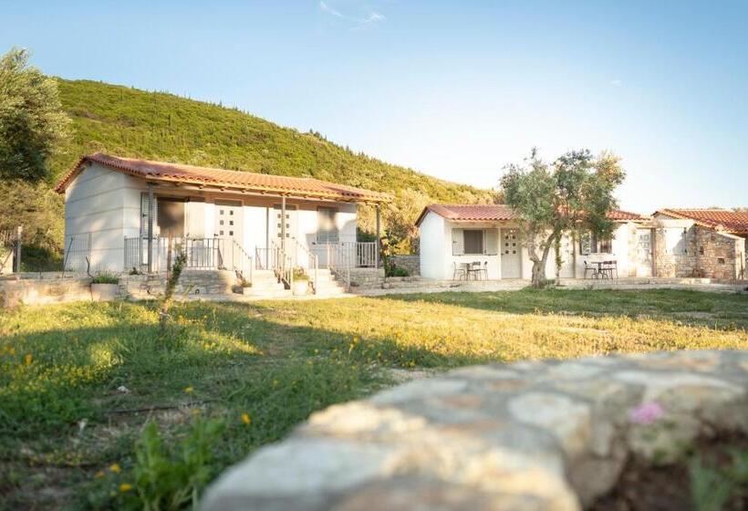 استودیوی استاندارد, Janakis Garden Livadi