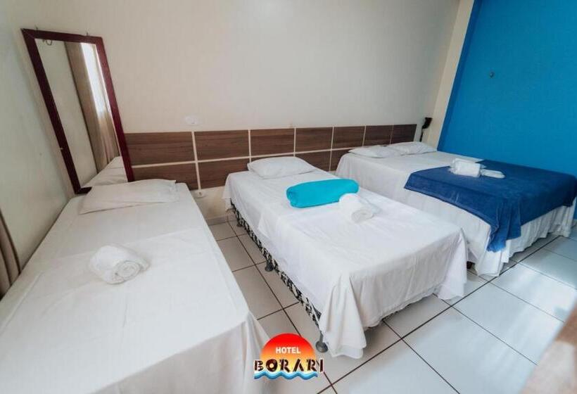 Номер Стандарт Трехместный, Borari