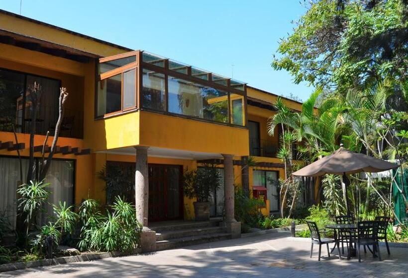 带大床的俱乐部房间, Wyndham Garden Guadalajara Expo Plaza Del Sol