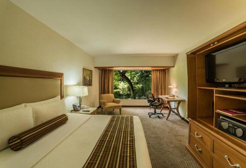 غرفة كلوب سرير كينج, Wyndham Garden Guadalajara Expo Plaza Del Sol