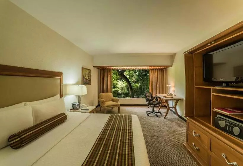 キングサイズベッドのクラブルーム, Wyndham Garden Guadalajara Expo Plaza Del Sol