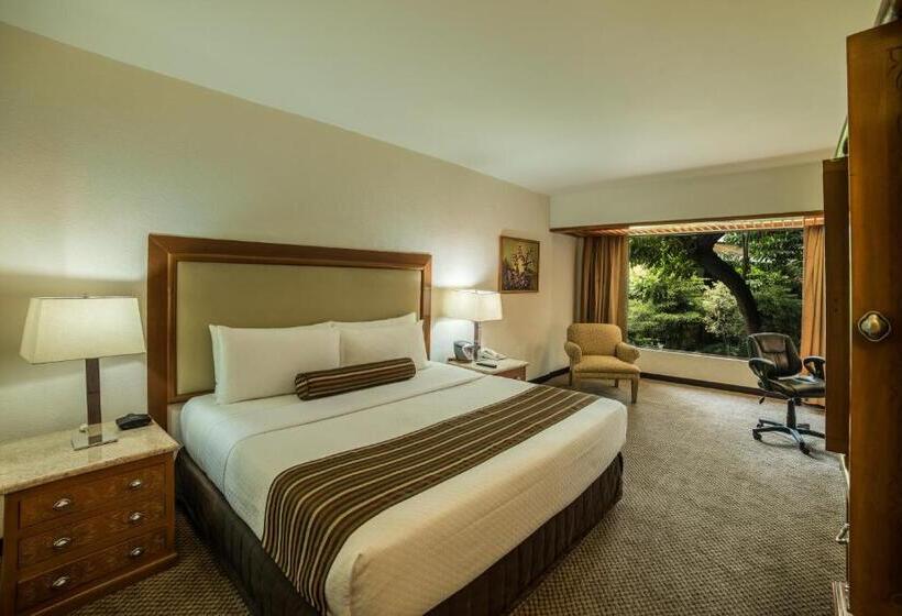 غرفة كلوب سرير كينج, Wyndham Garden Guadalajara Expo Plaza Del Sol