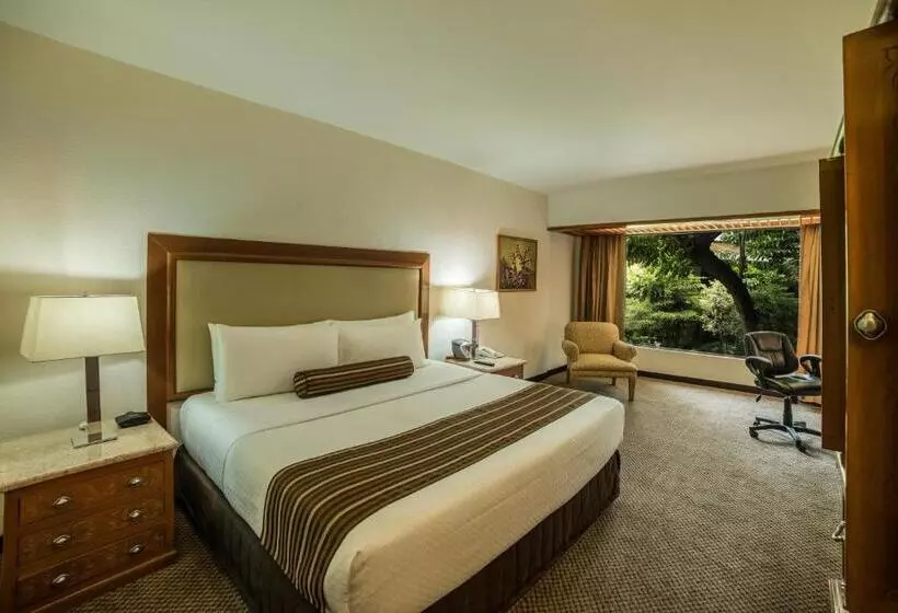 キングサイズベッドのクラブルーム, Wyndham Garden Guadalajara Expo Plaza Del Sol