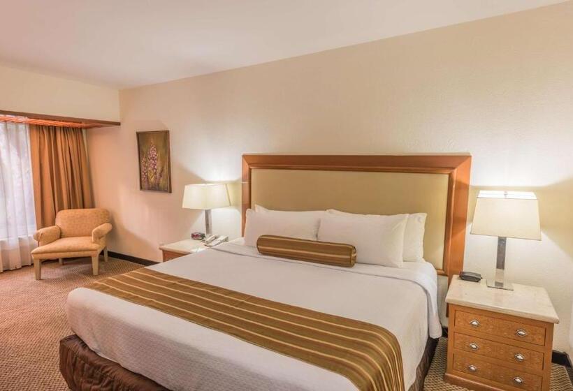 带大床的标准间, Wyndham Garden Guadalajara Expo Plaza Del Sol