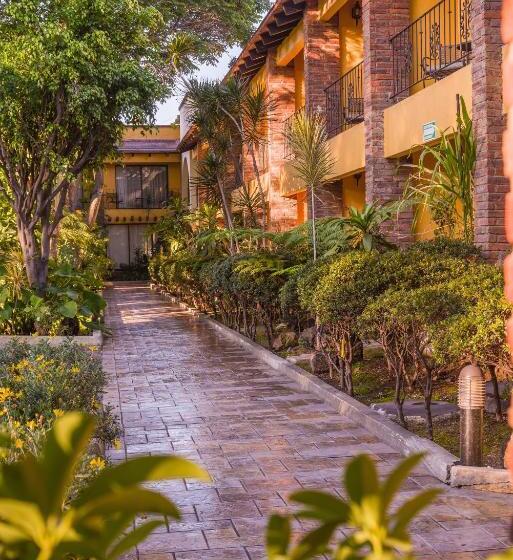 带大床的套房, Wyndham Garden Guadalajara Expo Plaza Del Sol