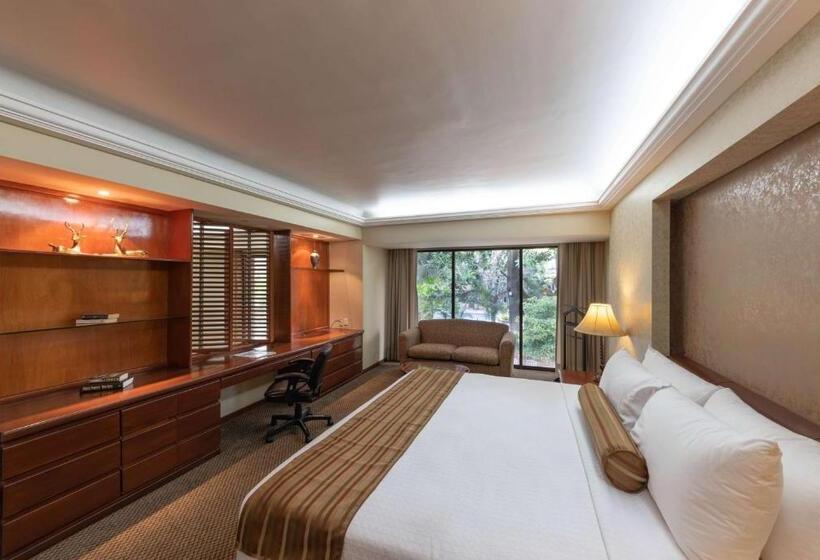 带大床的套房, Wyndham Garden Guadalajara Expo Plaza Del Sol