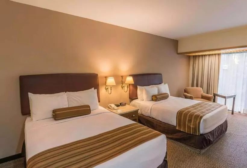 クラブルーム, Wyndham Garden Guadalajara Expo Plaza Del Sol