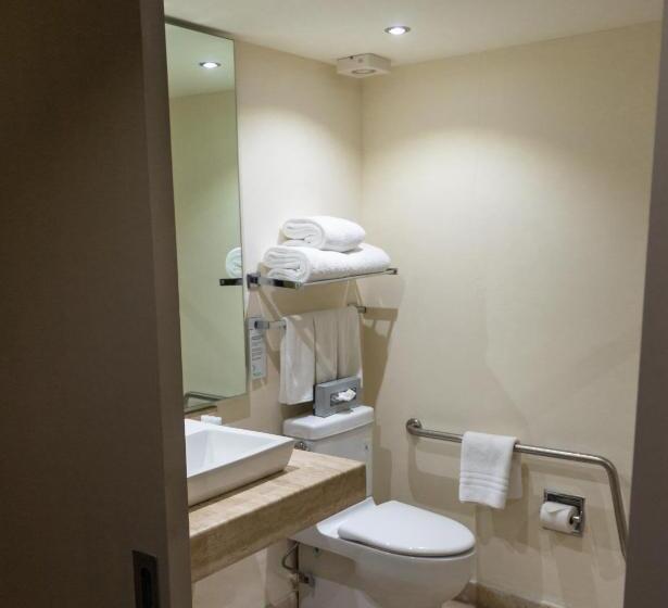 غرفة قياسية لذوى الاحتياجات الخاصة, Wyndham Garden Guadalajara Expo Plaza Del Sol