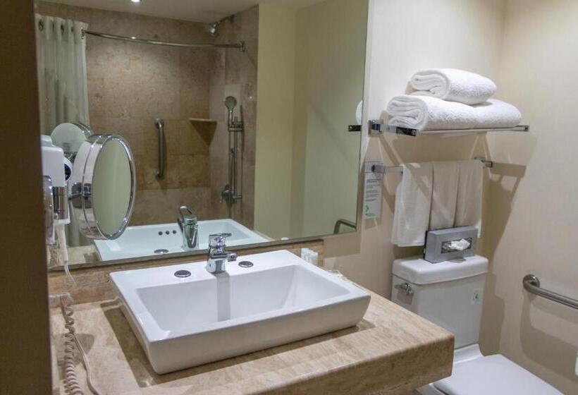 身障者適用スタンダードルーム, Wyndham Garden Guadalajara Expo Plaza Del Sol