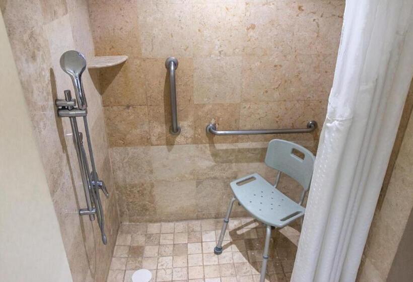 适合残疾人使用的标准间, Wyndham Garden Guadalajara Expo Plaza Del Sol