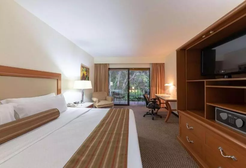スーペリアースイート, Wyndham Garden Guadalajara Expo Plaza Del Sol