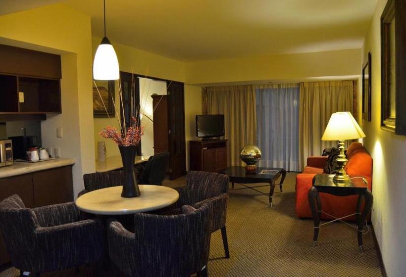 带大床的小型套房, Wyndham Garden Guadalajara Expo Plaza Del Sol
