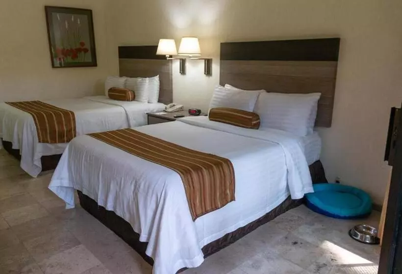 スタンダードルーム, Wyndham Garden Guadalajara Expo Plaza Del Sol